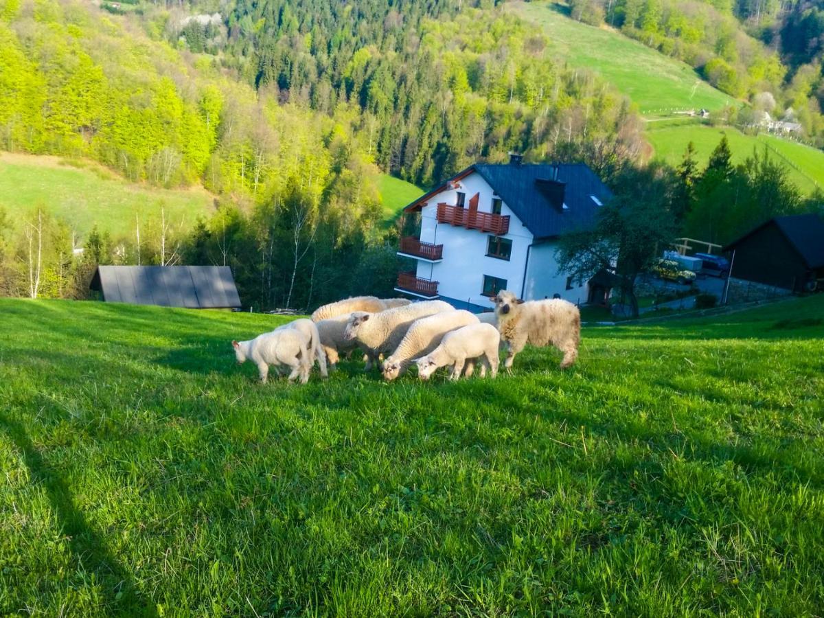 Willa Pod Bukami Wisla Bagian luar foto