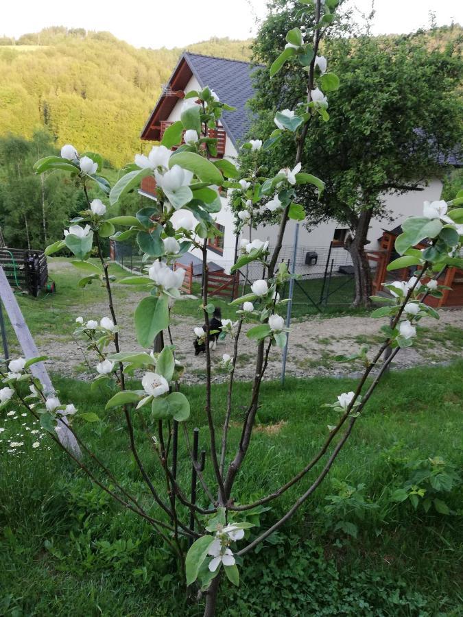 Willa Pod Bukami Wisla Bagian luar foto