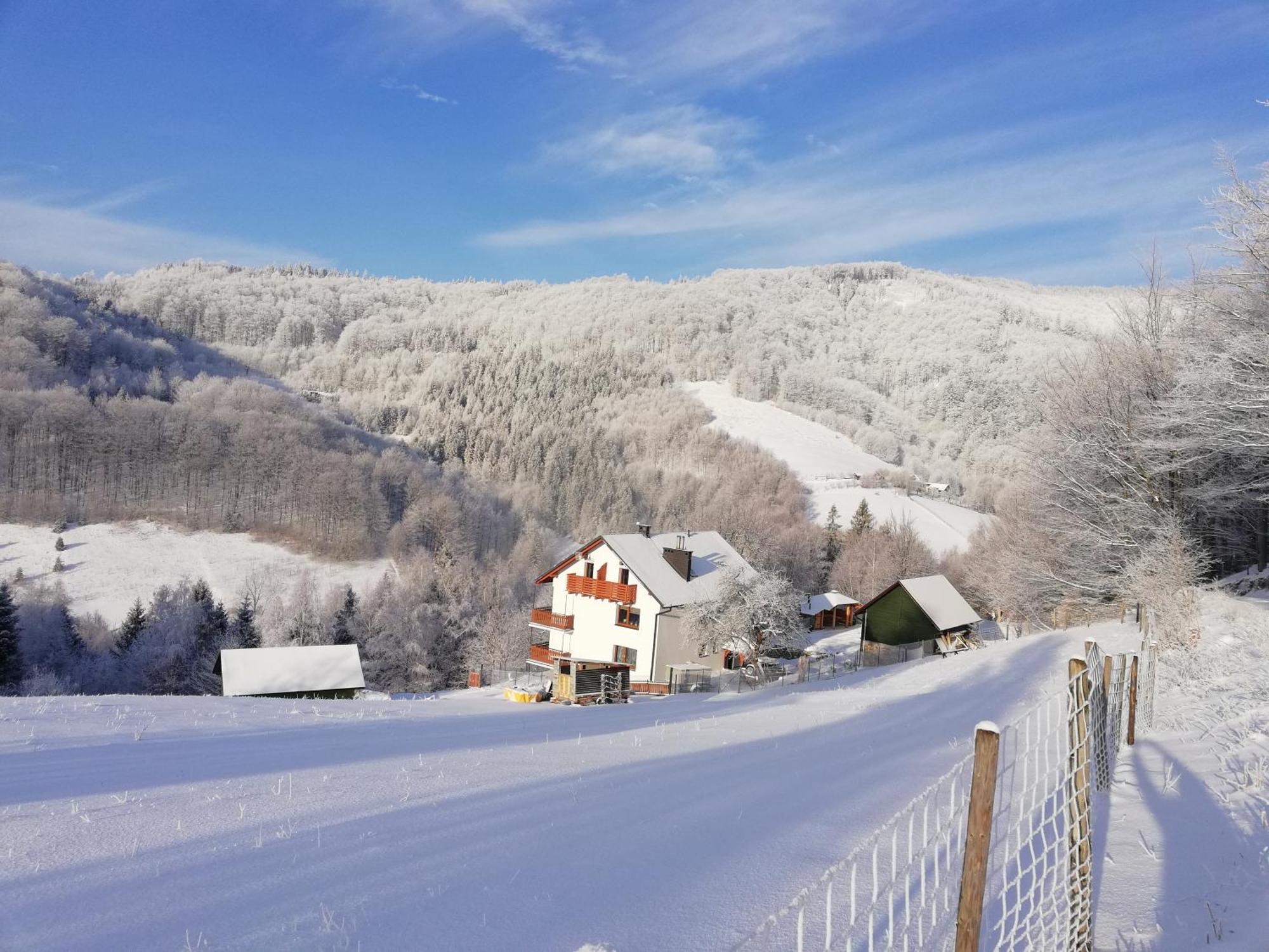 Willa Pod Bukami Wisla Bagian luar foto