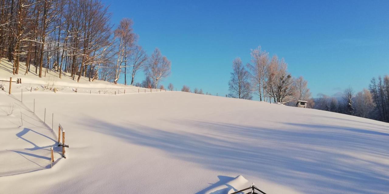 Willa Pod Bukami Wisla Bagian luar foto